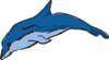 Leaping Dolphin Clip Art